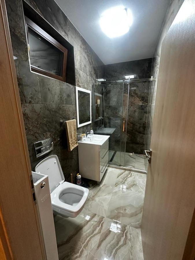 Emanuela Apartments Pecica ภายนอก รูปภาพ