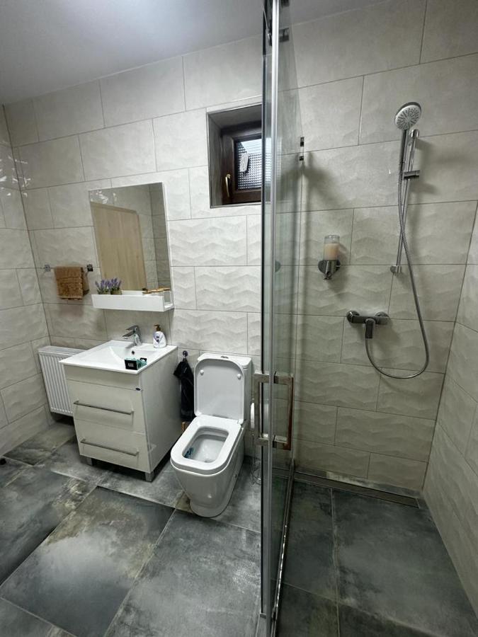 Emanuela Apartments Pecica ภายนอก รูปภาพ