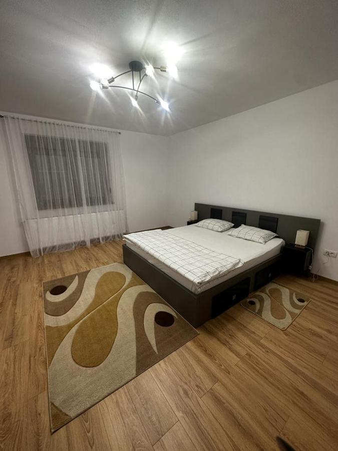 Emanuela Apartments Pecica ภายนอก รูปภาพ