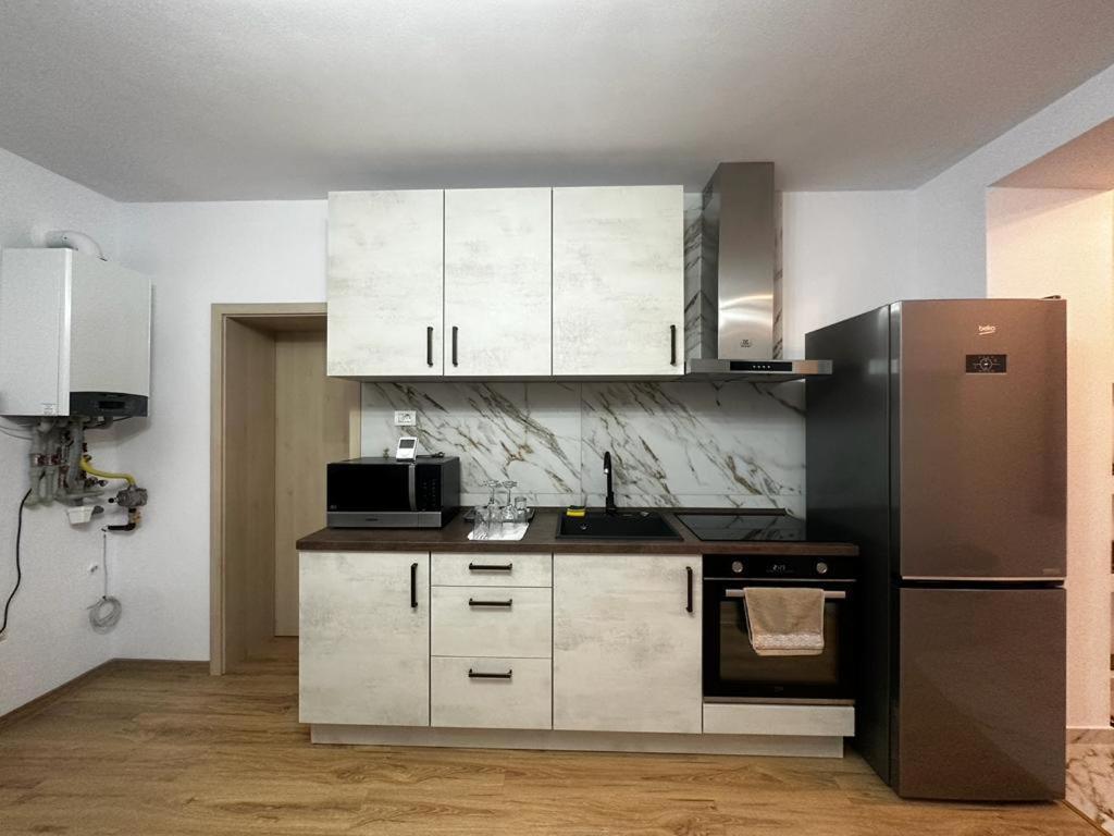 Emanuela Apartments Pecica ภายนอก รูปภาพ