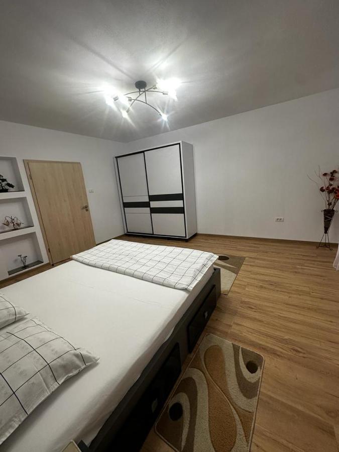 Emanuela Apartments Pecica ภายนอก รูปภาพ