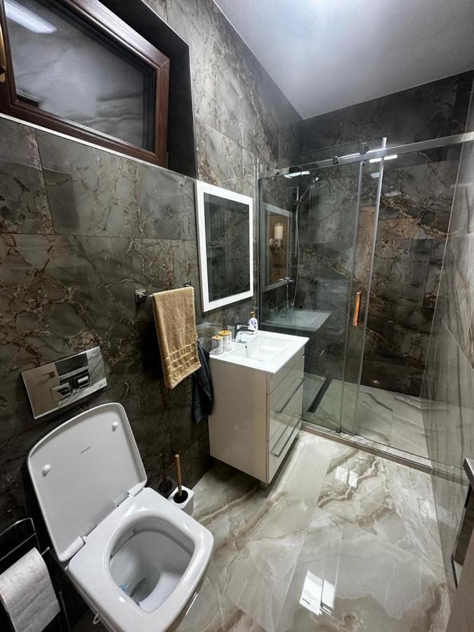Emanuela Apartments Pecica ภายนอก รูปภาพ