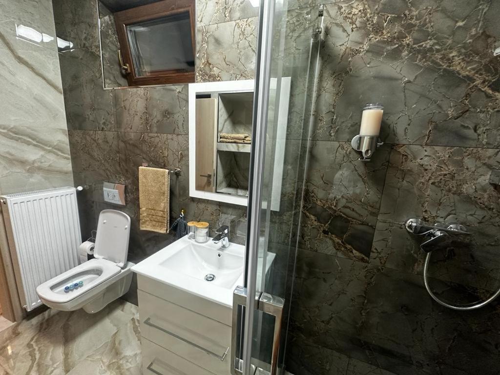 Emanuela Apartments Pecica ภายนอก รูปภาพ